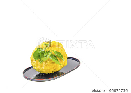 獅子柚子（鬼柚子） 96873736