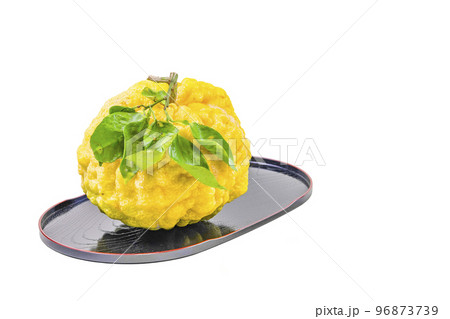 獅子柚子（鬼柚子） 96873739