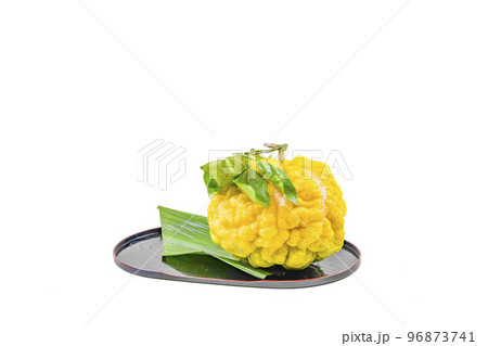 獅子柚子（鬼柚子） 96873741