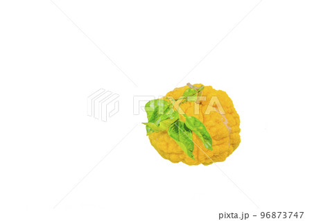 獅子柚子（鬼柚子） 96873747