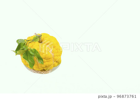 獅子柚子(鬼柚子) 獅子柚子(鬼柚子) 96873761