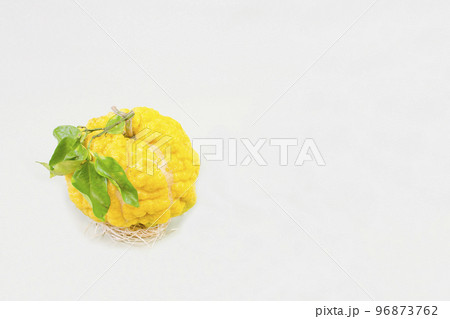 獅子柚子(鬼柚子) 獅子柚子(鬼柚子) 96873762