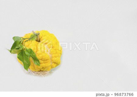 獅子柚子(鬼柚子) 獅子柚子(鬼柚子) 96873766