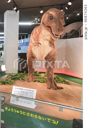 京都市青少年科学センター 96874365