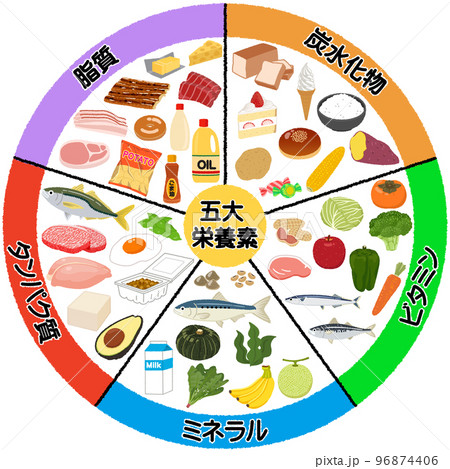 五大栄養素のイラスト 96874406