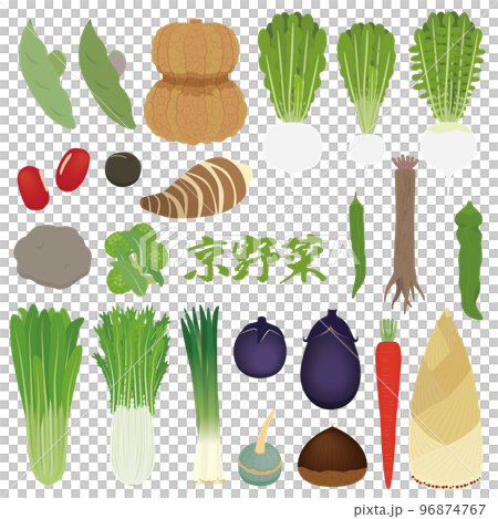 Illustration set of Kyoto vegetables 96874767