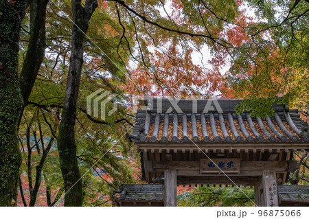 牛滝山 牛滝山 96875066