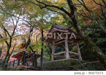 牛滝山 牛滝山 96875073