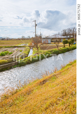 初冬の安曇野【湧水川の流れ】 96875792