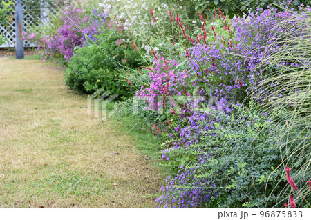 【長野県  中野市】一本木公園の花壇 96875833