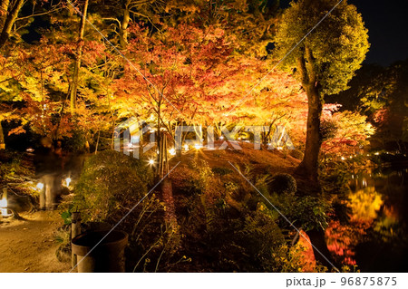 国の名勝縮景園の紅葉ライトアップの風景をどうぞ。広島浅野藩主や上田宗箇ゆかりの庭園です。広島県 国の名勝縮景園の紅葉ライトアップの風景をどうぞ。広島浅野藩主や上田宗箇ゆかりの庭園です。広島県 96875875