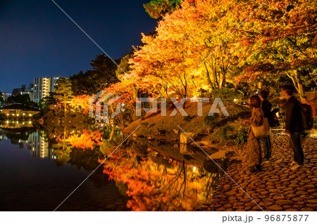 国の名勝縮景園の紅葉ライトアップの風景をどうぞ。広島浅野藩主や上田宗箇ゆかりの庭園です。広島県 96875877