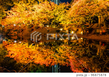 国の名勝縮景園の紅葉ライトアップの風景をどうぞ。広島浅野藩主や上田宗箇ゆかりの庭園です。広島県 国の名勝縮景園の紅葉ライトアップの風景をどうぞ。広島浅野藩主や上田宗箇ゆかりの庭園です。広島県 96875878