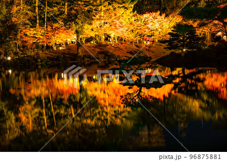 国の名勝縮景園の紅葉ライトアップの風景をどうぞ。広島浅野藩主や上田宗箇ゆかりの庭園です。広島県 96875881