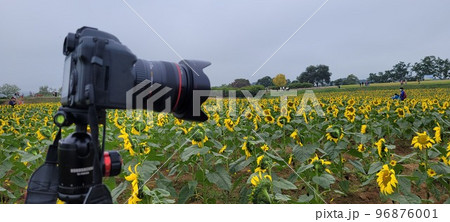 96876001