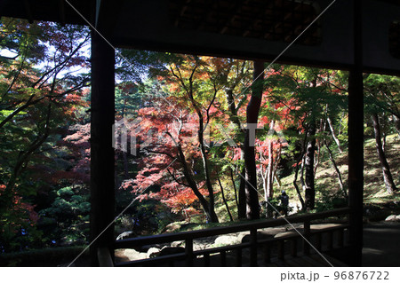 殿ケ谷戸庭園　紅葉 96876722