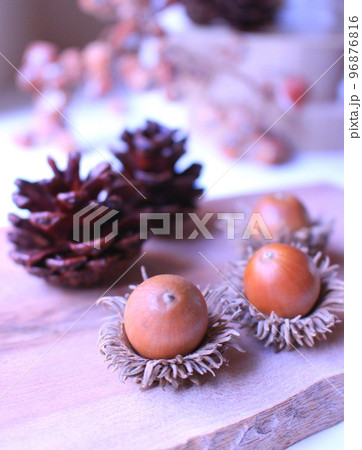 松ぼっくりとどんぐり ウッディな雑貨とドライフラワー 松ぼっくりとどんぐり ウッディな雑貨とドライフラワー 96876816