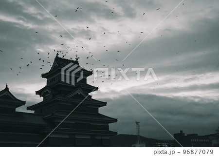 【烏城】大天守に群れるカラス【国宝松本城】 96877079