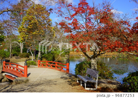 東行池の紅葉 96877253