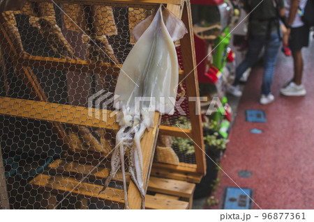 イカ 一夜干し中 イカ 一夜干し中 96877361