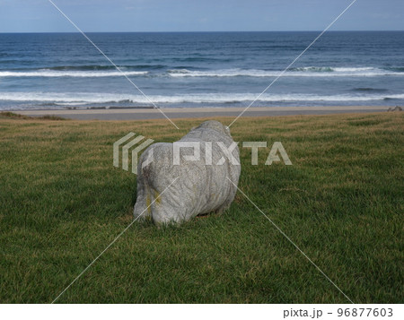 夏の終わりの鹿島灘海浜公園 96877603