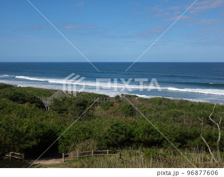 夏の終わりの鹿島灘海浜公園 96877606