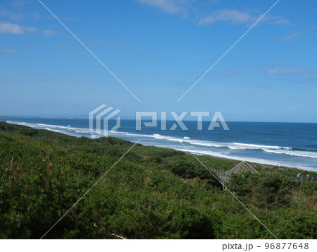 夏の終わりの鹿島灘海浜公園 96877648