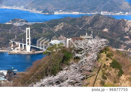 【愛媛県】ゆめしま海道と積善山三千本桜（岩城橋） 96877750