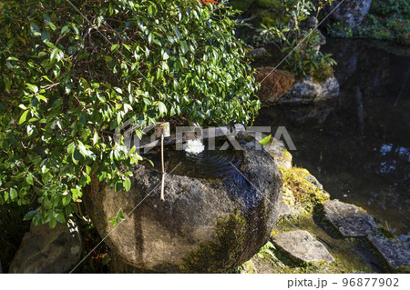 晩秋の魚山大原寺、実光院　つくばい 96877902