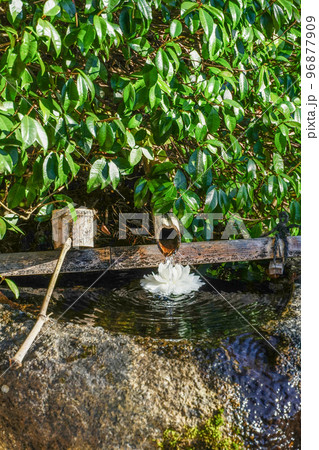 晩秋の魚山大原寺、実光院　つくばい 96877909