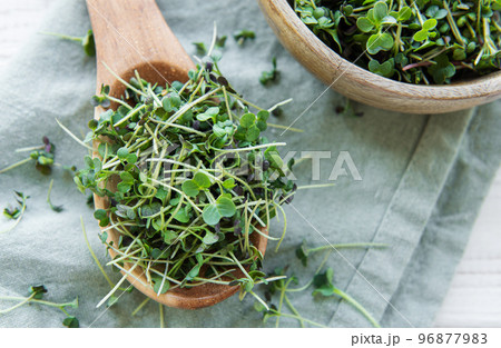 Fresh organic micro green on table 96877983
