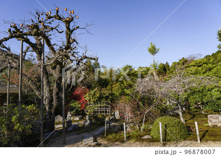 晩秋の魚山大原寺、実光院　旧理覚院庭園 96878007