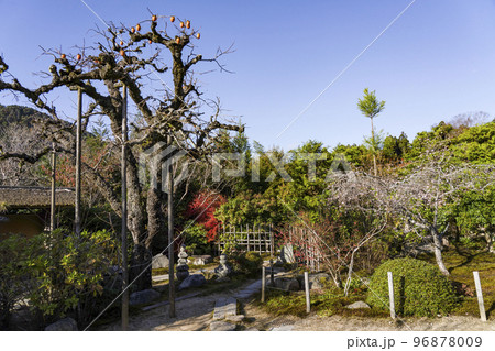 晩秋の魚山大原寺、実光院 旧理覚院庭園 晩秋の魚山大原寺、実光院 旧理覚院庭園 96878009