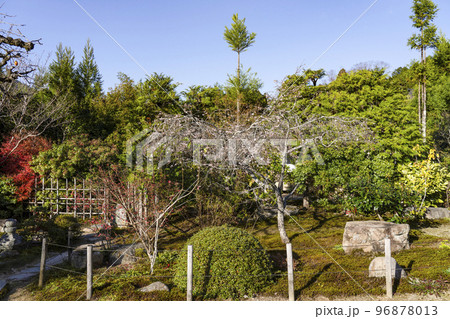 晩秋の魚山大原寺、実光院 旧理覚院庭園 晩秋の魚山大原寺、実光院 旧理覚院庭園 96878013