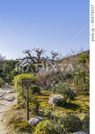 晩秋の魚山大原寺、実光院　旧理覚院庭園 96878037