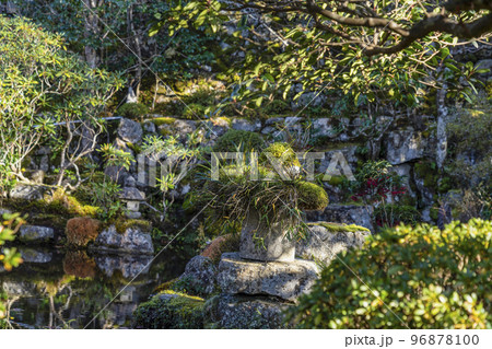 晩秋の魚山大原寺、実光院「契心園」 96878100