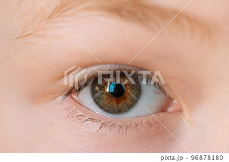 Green-brown eye of a boy close-up Green-brown eye of a boy close-up 96878180