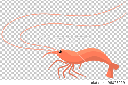 Mustache shrimp 96878629