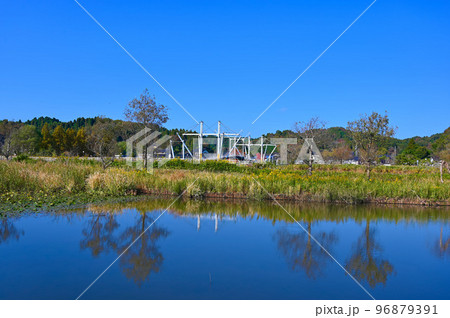 十二町潟　十二町潟水郷公園　オニバスの池　氷見市 96879391