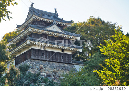 西尾城の本丸丑寅櫓の自然風景(愛知県・西尾市歴史公園) 西尾城の本丸丑寅櫓の自然風景(愛知県・西尾市歴史公園) 96881039