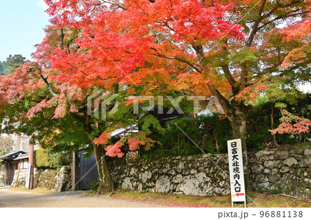 滋賀県大津市の門前町坂本地区の紅葉風景 滋賀県大津市の門前町坂本地区の紅葉風景 96881138