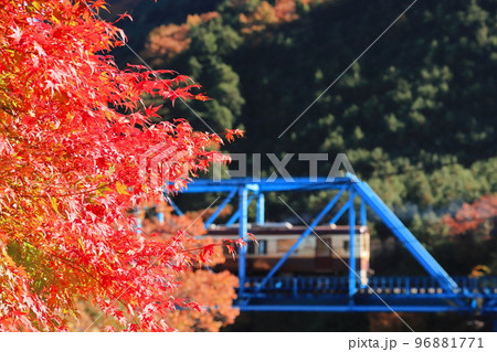 わたらせ渓谷鐵道「輝く赤い楓の葉と青い鉄橋を背景に」 わたらせ渓谷鐵道「輝く赤い楓の葉と青い鉄橋を背景に」 96881771