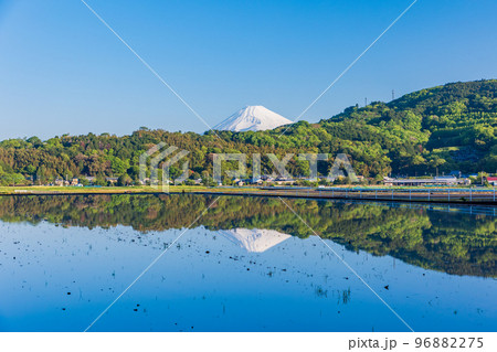 (静岡県)田に水が入った、丹那盆地 後方に富士山 (静岡県)田に水が入った、丹那盆地 後方に富士山 96882275