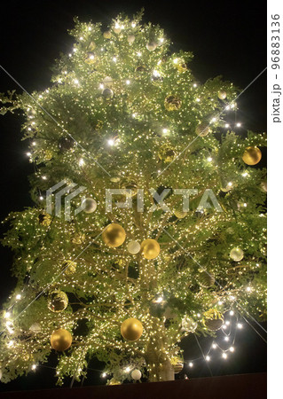装飾されたクリスマスツリーの木 装飾されたクリスマスツリーの木 96883136