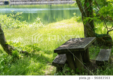 古びたベンチから清水ヶ池を臨む(笹ヶ峰遊歩道) 96883563