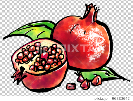 石榴手繪插畫(毛筆水彩水墨畫風格) 石榴手繪插畫(毛筆水彩水墨畫風格) 96883642