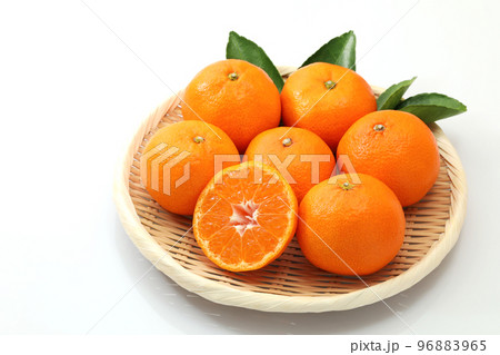 盆ざるに置いて葉を添えた白バックの温州みかん 盆ざるに置いて葉を添えた白バックの温州みかん 96883965