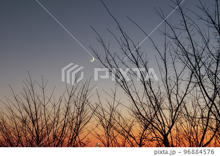 三日月 夕日 夕焼け 96884576