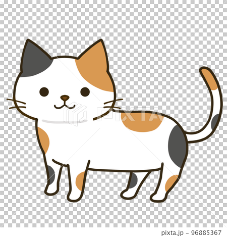 站立簡單的三色貓 站立簡單的三色貓 96885367