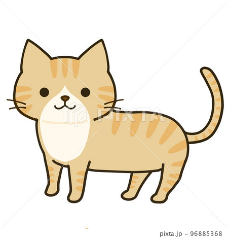 立つシンプルなハチワレ茶トラ猫 96885368